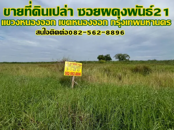 ขายที่ดินเปล่า ซอยผดุงพันธ์21 แขวงหนองจอก เขตหนองจอก กรุงเทพมหานคร
